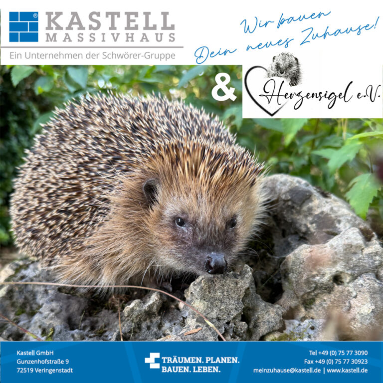 Kastell-&-Herzensigel-01